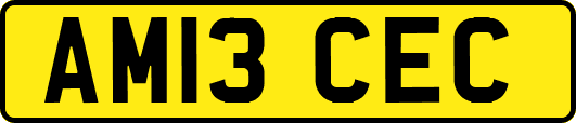 AM13CEC