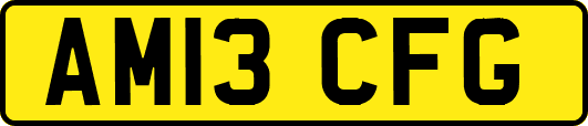 AM13CFG