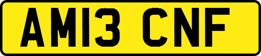 AM13CNF