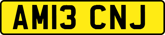 AM13CNJ