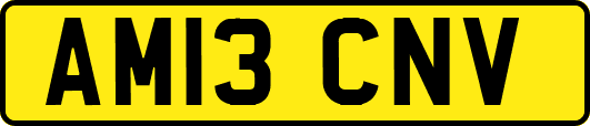 AM13CNV