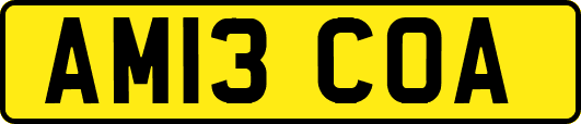 AM13COA