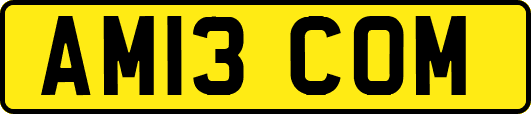 AM13COM