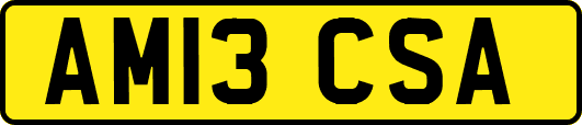 AM13CSA