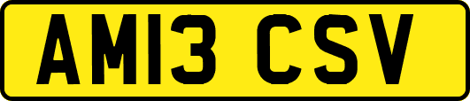 AM13CSV