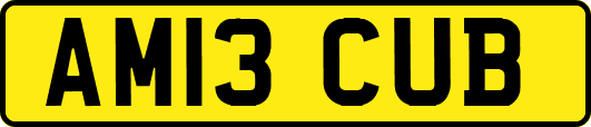 AM13CUB