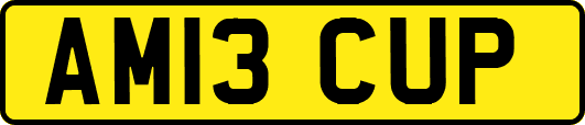 AM13CUP