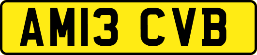 AM13CVB