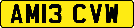 AM13CVW