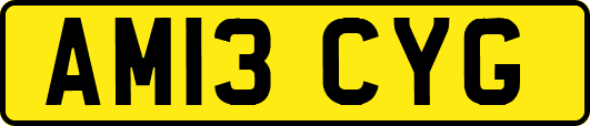 AM13CYG