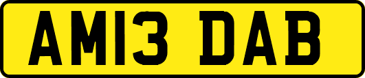 AM13DAB