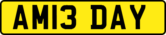 AM13DAY