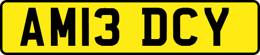 AM13DCY