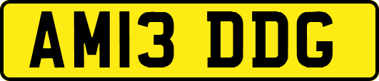 AM13DDG