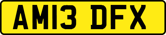 AM13DFX