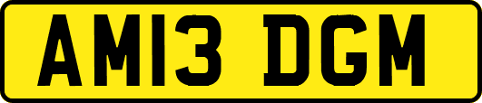 AM13DGM
