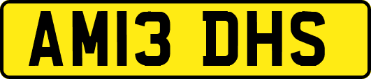 AM13DHS