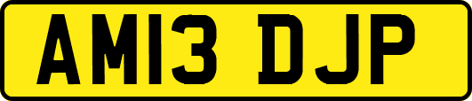 AM13DJP