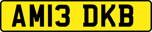 AM13DKB