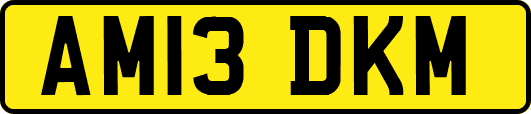AM13DKM