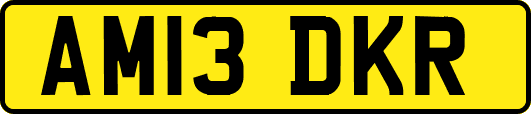 AM13DKR