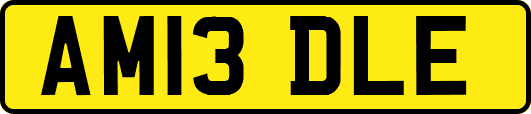 AM13DLE