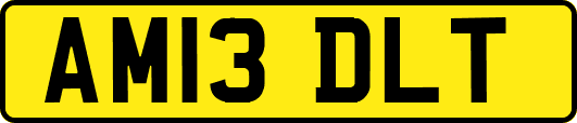 AM13DLT