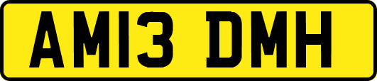 AM13DMH