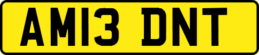 AM13DNT