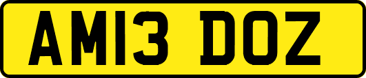 AM13DOZ