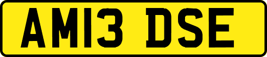 AM13DSE