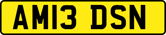 AM13DSN