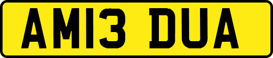 AM13DUA