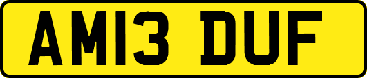 AM13DUF