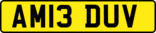 AM13DUV