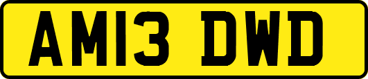 AM13DWD