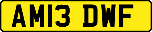 AM13DWF