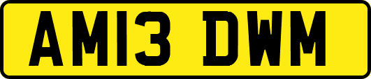 AM13DWM