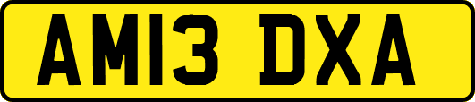 AM13DXA