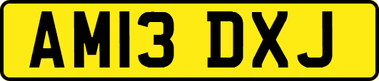 AM13DXJ
