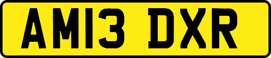AM13DXR