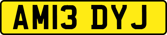 AM13DYJ