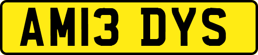 AM13DYS