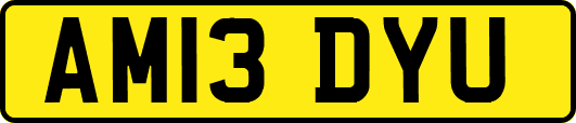 AM13DYU