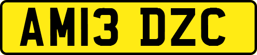 AM13DZC