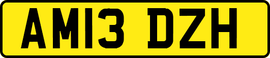 AM13DZH