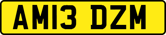 AM13DZM
