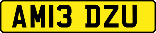 AM13DZU