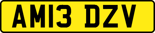 AM13DZV