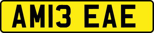 AM13EAE